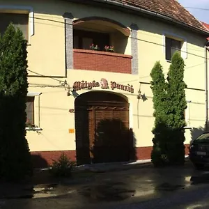 Matyas Panzio Nocleg ze śniadaniem